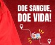 Secretaria de Saúde de Palmeira promove ação para coletas de sangue em parceria com o Hemoal