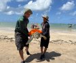 Guardas ambientais de Porto de Pedras resgatam tartaruga-verde ferida na Praia do Patacho