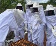 Centro Xingó conclui capacitação técnica em apicultura para alunos do Ifal em Piranhas