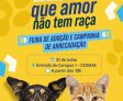 Cesmac promove Feira de Adoção no Dia do Vira-Lata